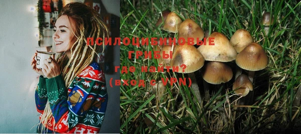 a pvp Богородицк